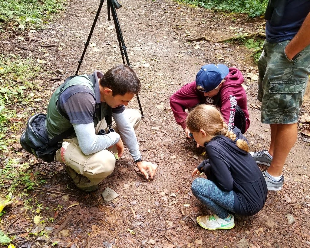 Naturalist guide showing young people the wonders of the forest!